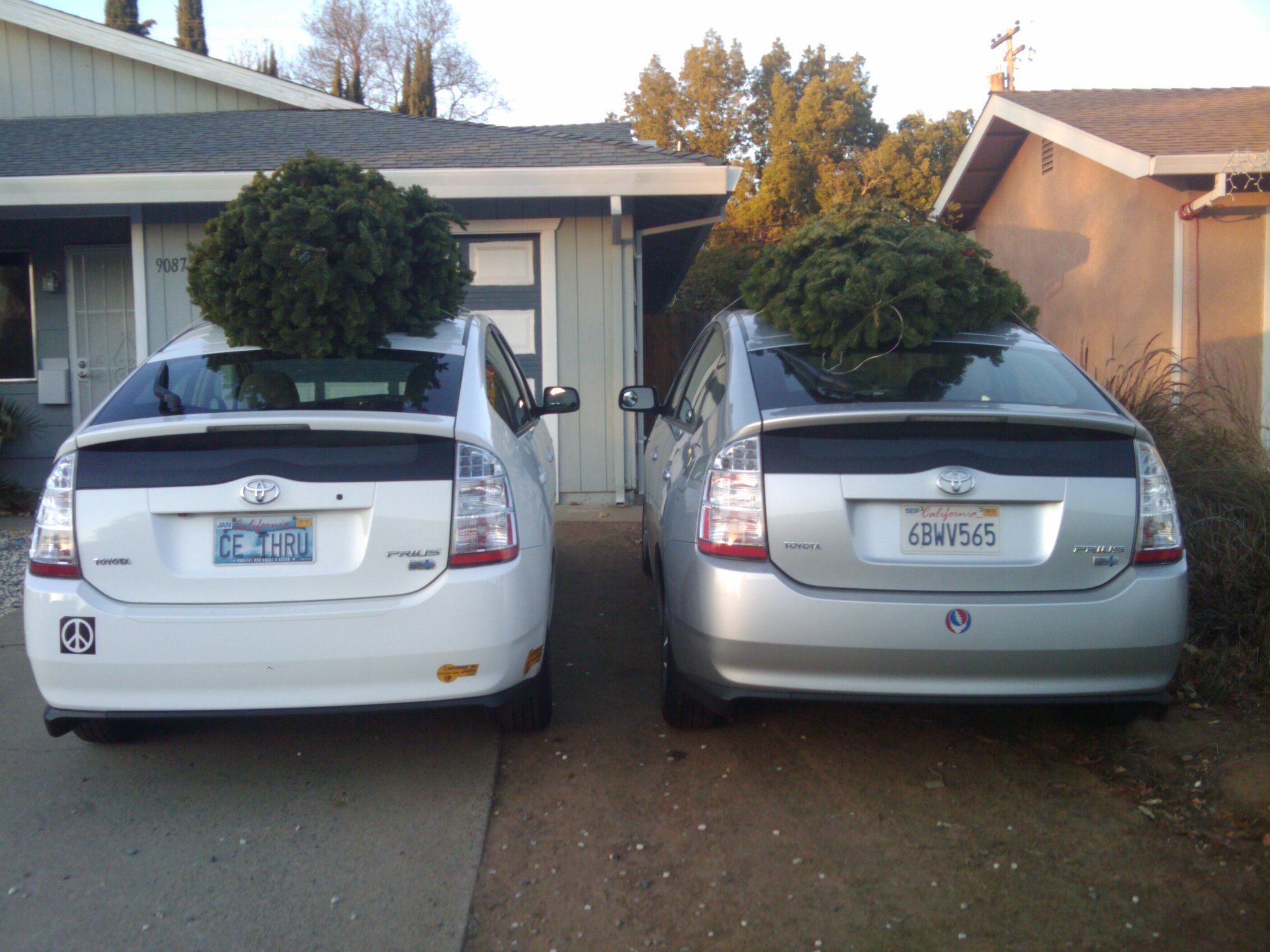 2009-12-05 16.18.24.jpg